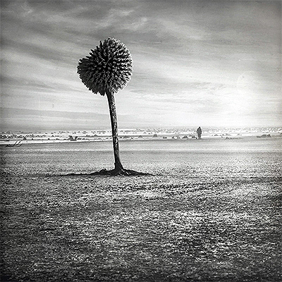 مجموعه آثار داریوسز کلیمکزاک