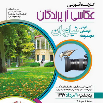 برگزاری اردوی رایگان عکاسی برای نوجوانان